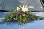 IMG_2392tn.jpg