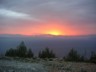 PICT5082tn.jpg